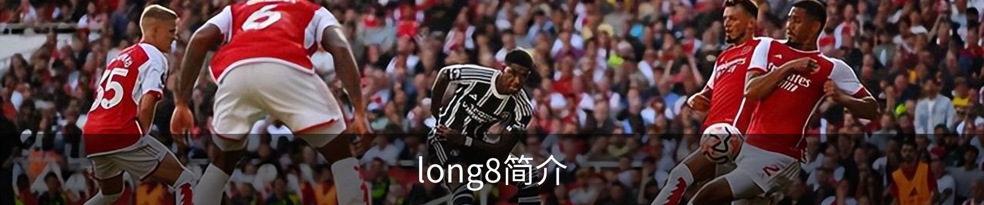 long8简介